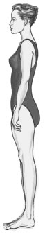 Long torso short legs body type