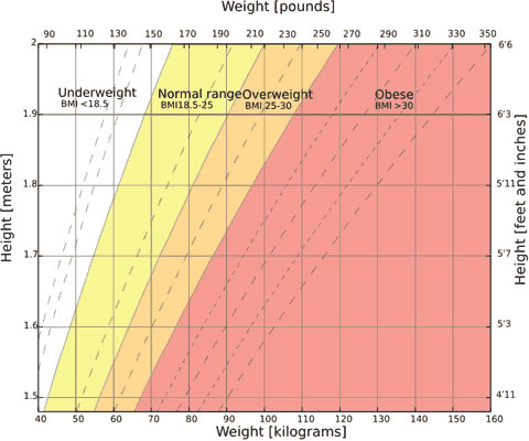 How much should I weigh for my height and age? Measure your BMI chart