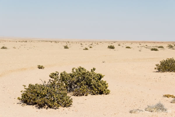 Namib desert Namibia, Africa | 40plusstyle.com