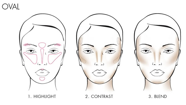 beginner contour face oval