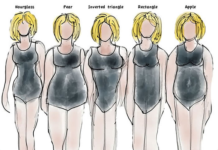 body shapes for women