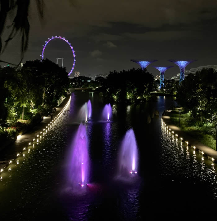 The super trees at Gardens By the Bay Singapore