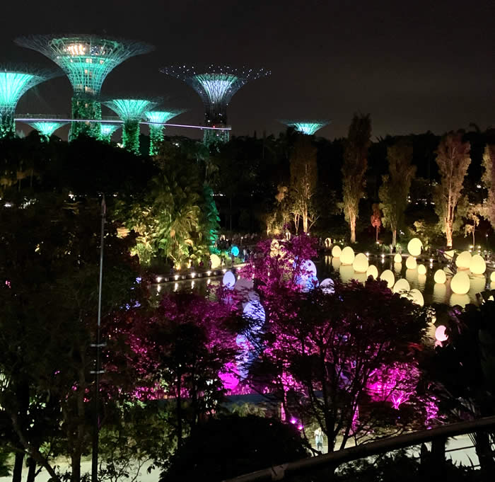 Gardens by the bay Singapore