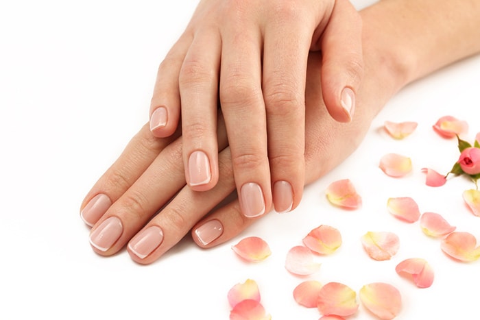 Hands with long artificial manicured nails colored with red nail polish  holding a handbag Stock Photo | Adobe Stock