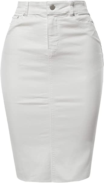 A2Y pencil skirt | 40plusstyle.com