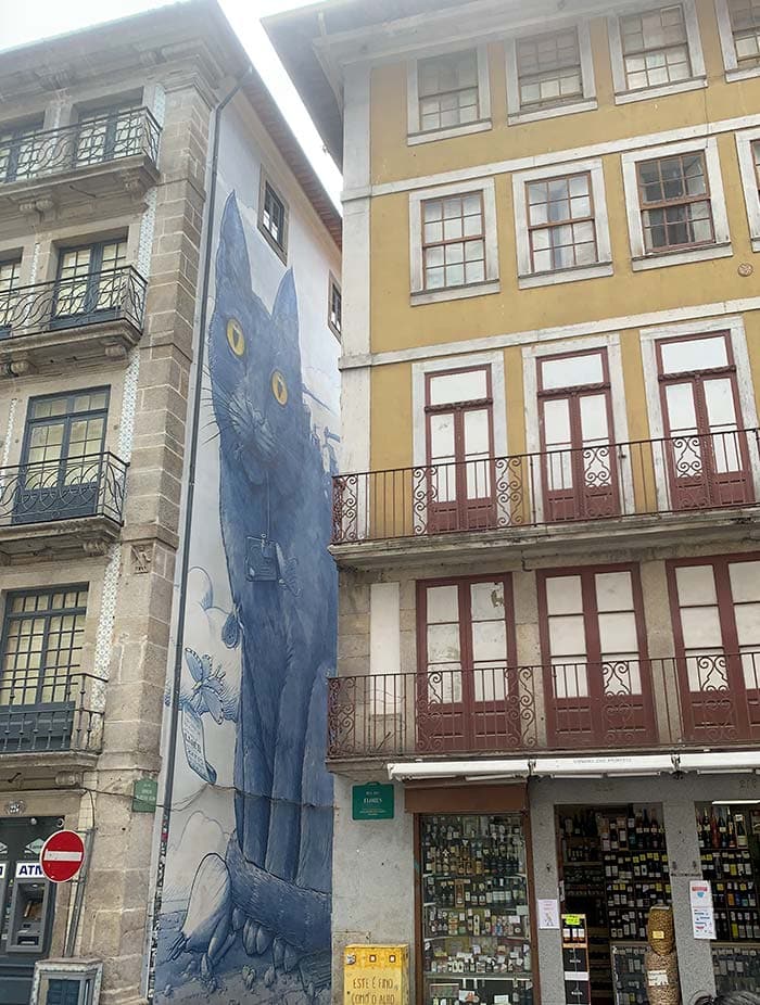 Cat mural in Porto, Portugal | 40plusstyle.com