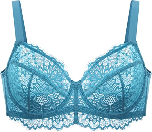 HSIA Blossom Sexy Lace Bra: Back-Smoothing, Plus Size, No Padding