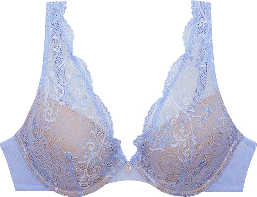 HSIA Blossom Sexy Lace Bra: Back-Smoothing, Plus Size, No Padding