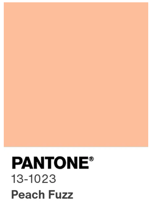 Pantone Color of the Year Peach Fuzz | 40plusstyle.com
