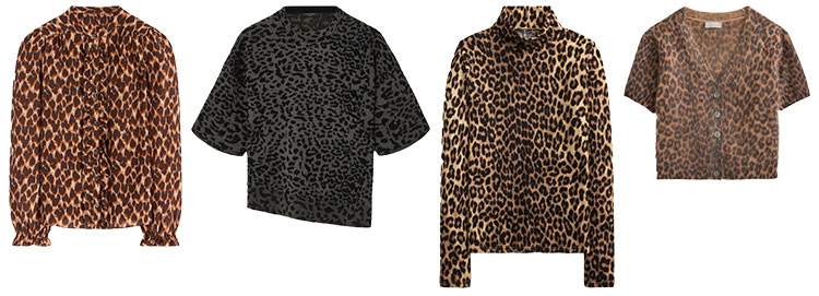 Leopard print tops for fall and winter | 40plusstyle.com
